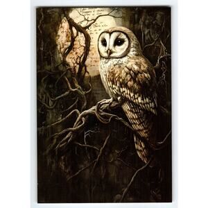 Photochrome Halloween Owl Postcard 5.5x4 Lithograph Chrome Art